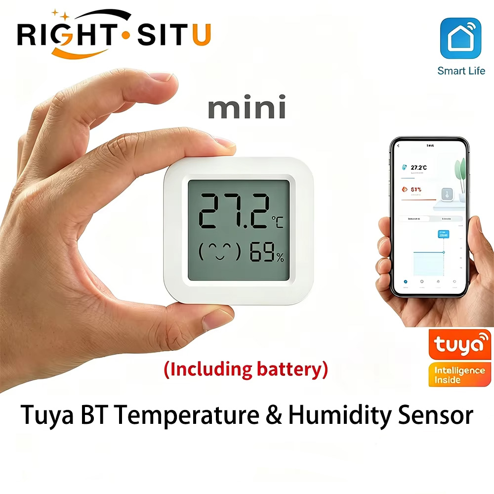 Digital Hygrometer Probe - Sensore di temperatura e umidità Tuya,