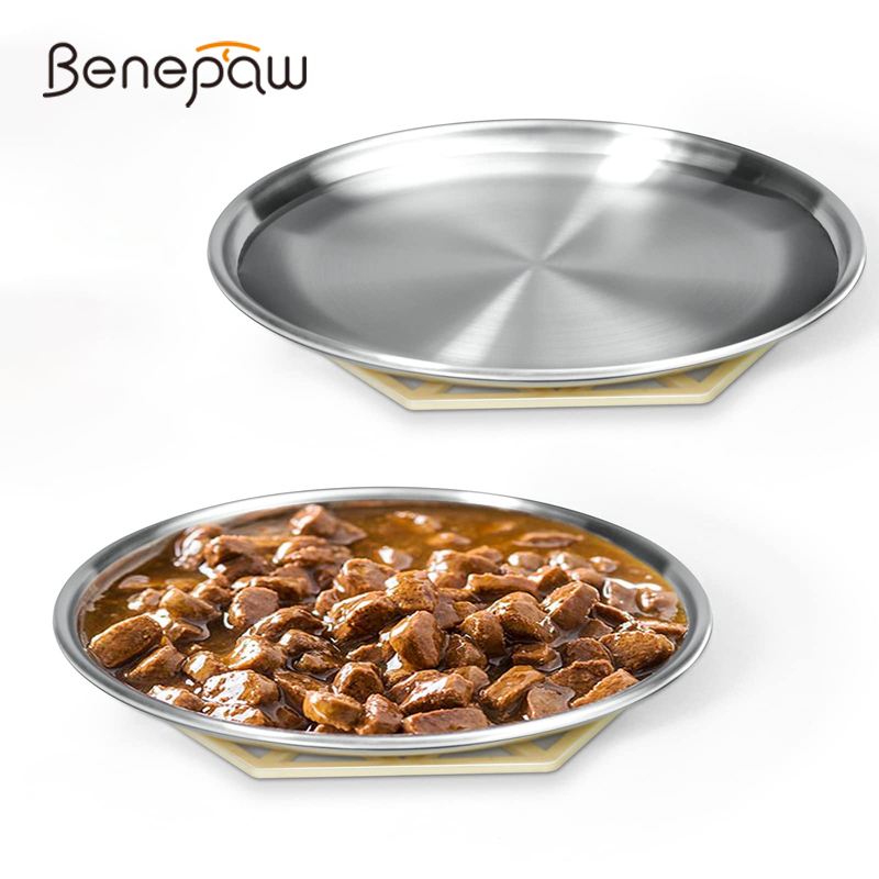 Royal Canin Food Medium - Benepaw ciotola per gatti poco profonda