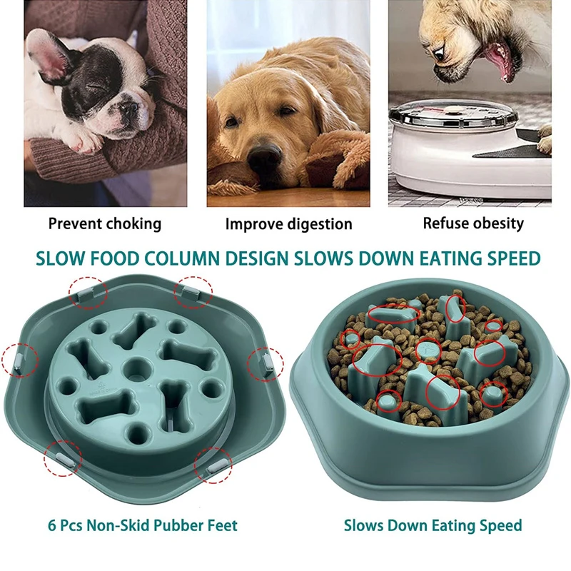 Nuova Ciotola Lenta per Cani A - Royal Canin Food Medium recensione e prezzo