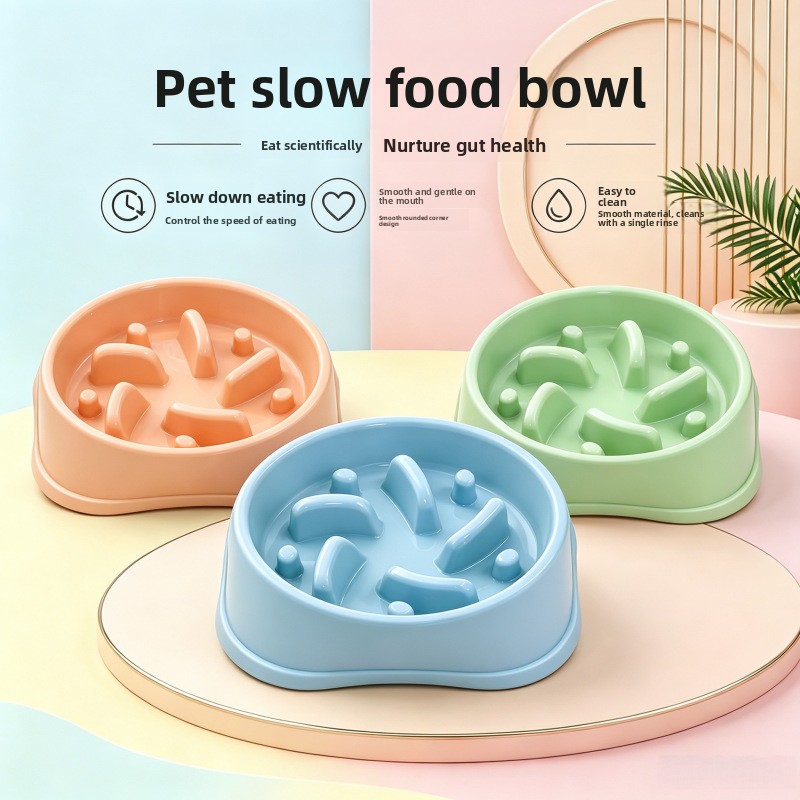 Ciotola Antiscivolo per Cani 1 - Royal Canin Food Medium recensione e prezzo