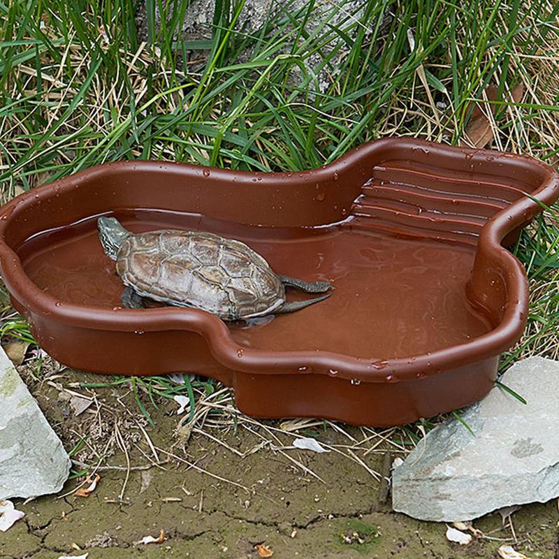 Piatto per l'alimentazione del - Water Dish Reptile recensione e prezzo