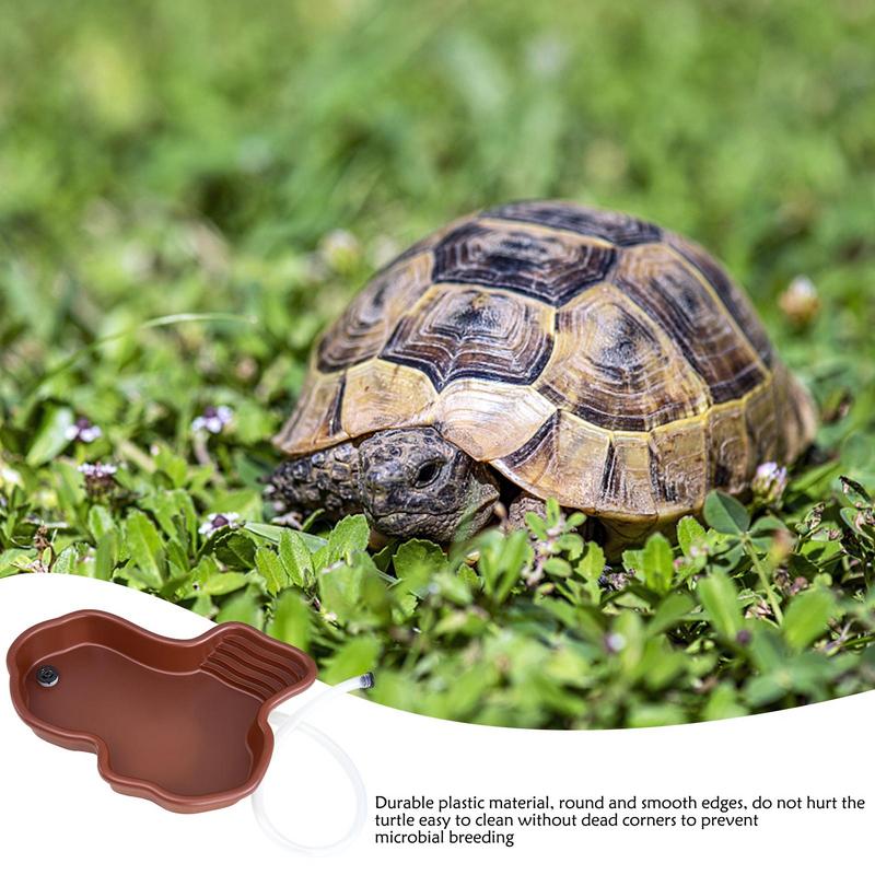 Piatto per l'alimentazione del - Water Dish Reptile recensione e prezzo