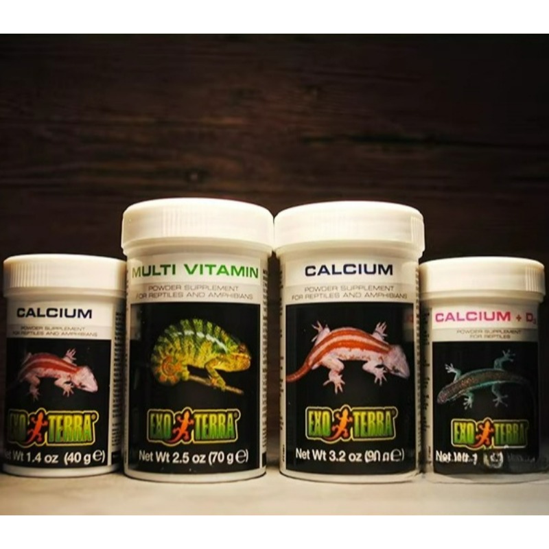 HAGEN Polvere di Calcio per Re - Vitamin D3 Reptile recensione e prezzo