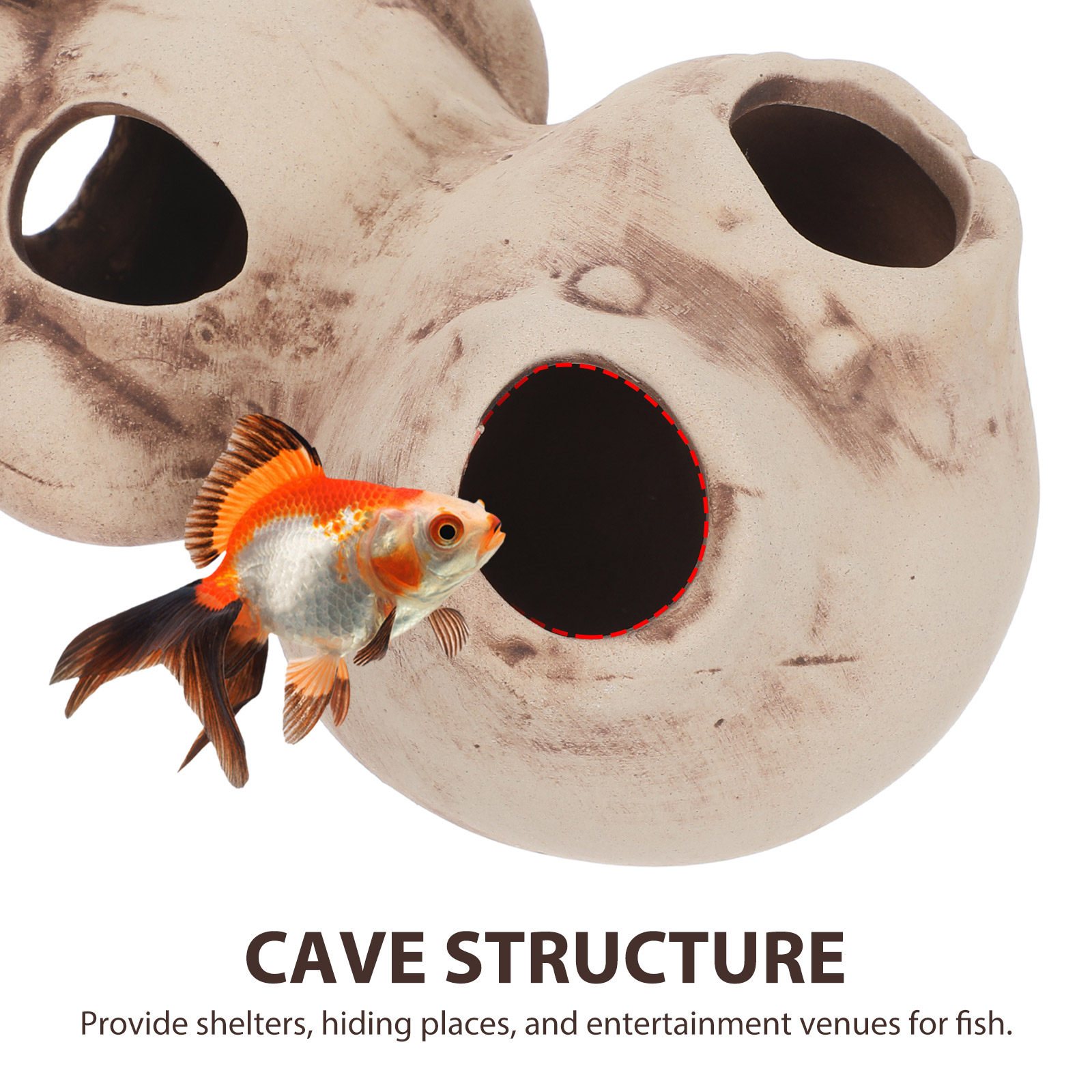 Rifugio per Gamberetti d'Acqua - Hide Cave Ceramic recensione e prezzo