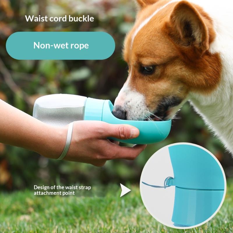 Borraccia portatile da 500 ml  - Royal Canin Food Medium recensione e prezzo