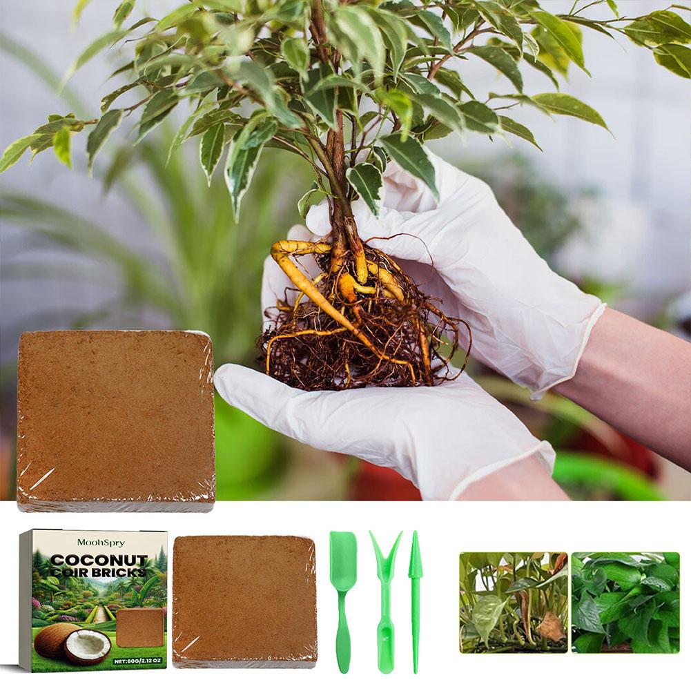 Mattonella di Fibra di Cocco - - Substrate Coconut Fiber recensione e prezzo