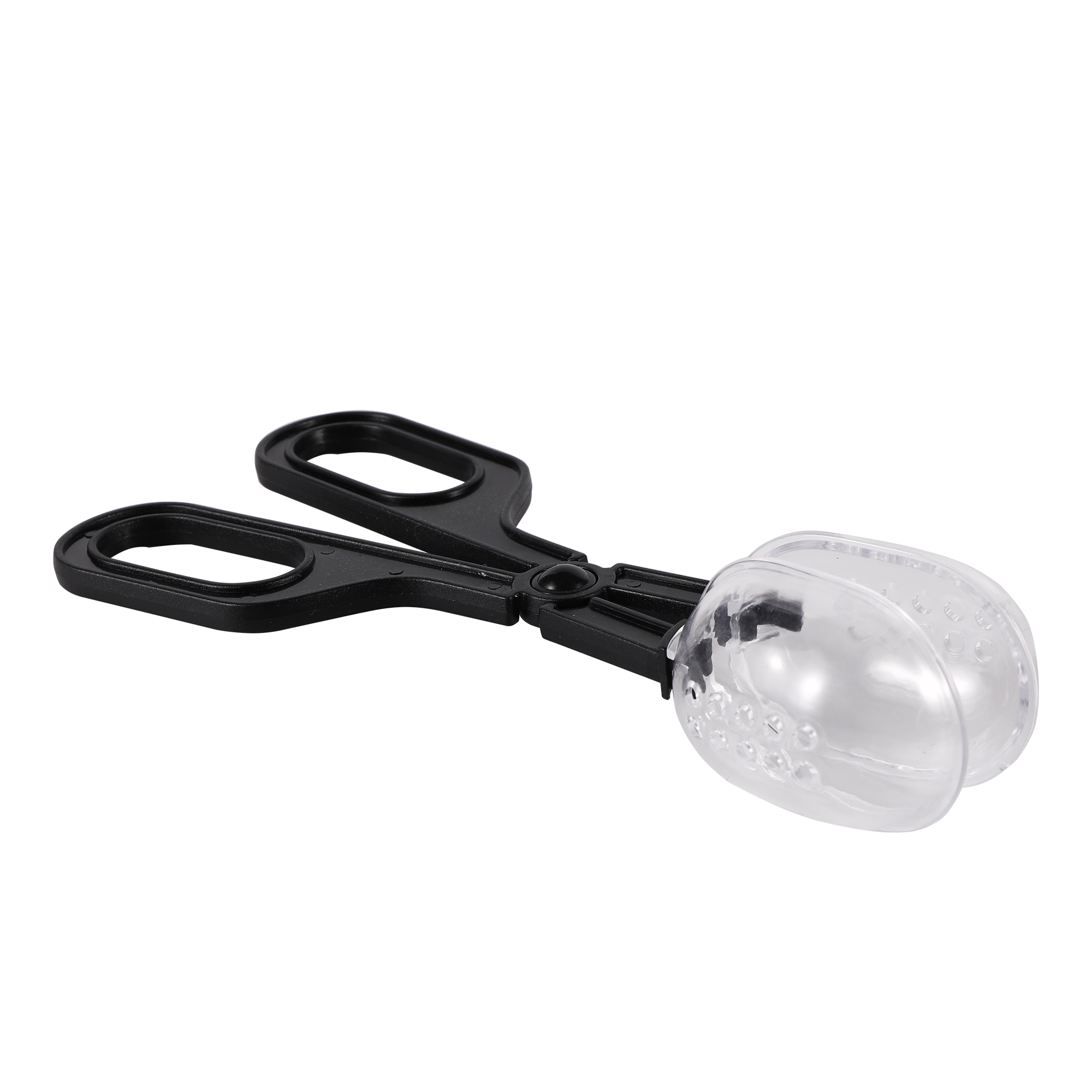 Rettile Terrario Lucertole Pin - Water Dish Reptile recensione e prezzo