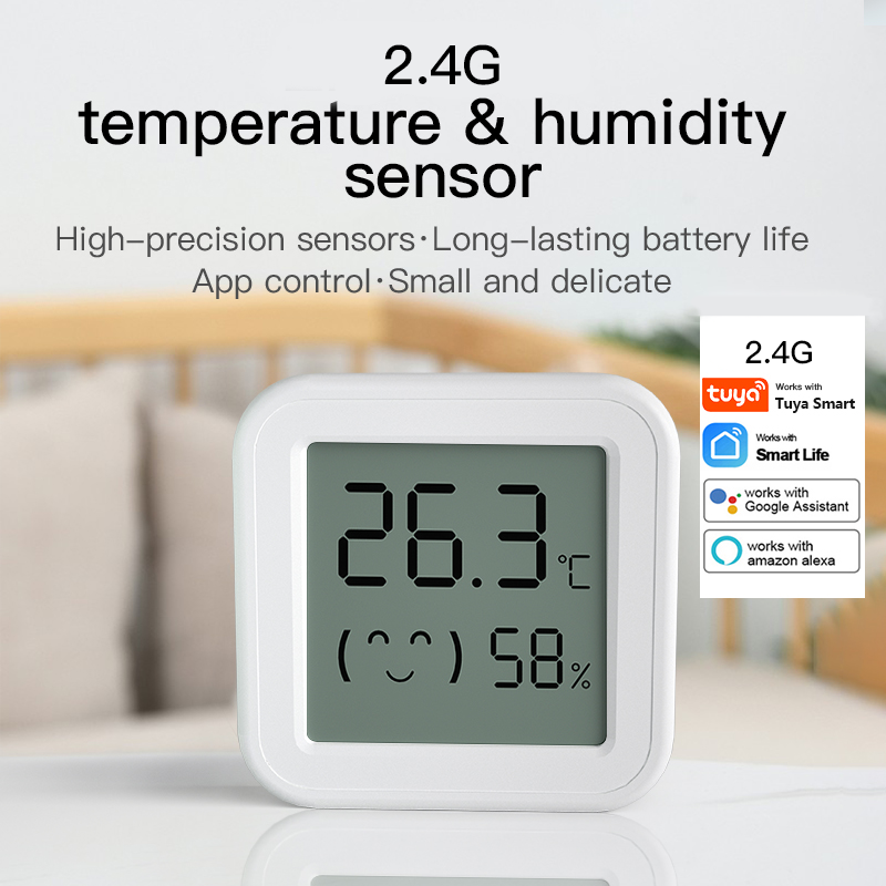Sensore di umidità della tempe - Digital Hygrometer Probe recensione e prezzo