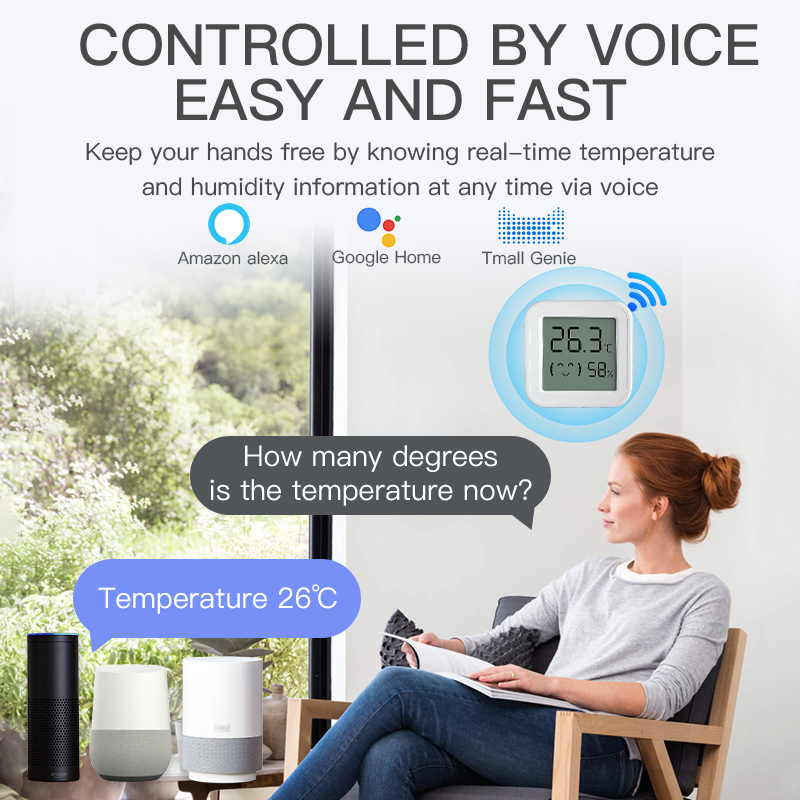 Sensore di umidità della tempe - Digital Hygrometer Probe recensione e prezzo
