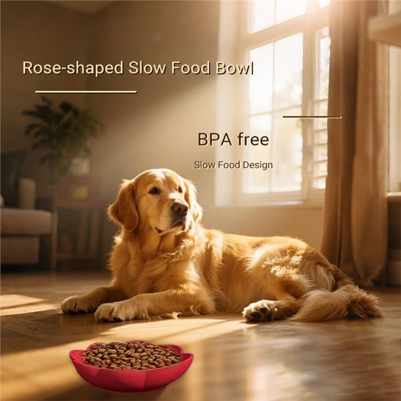 Ciotola in silicone A11E per a - Royal Canin Food Medium recensione e prezzo