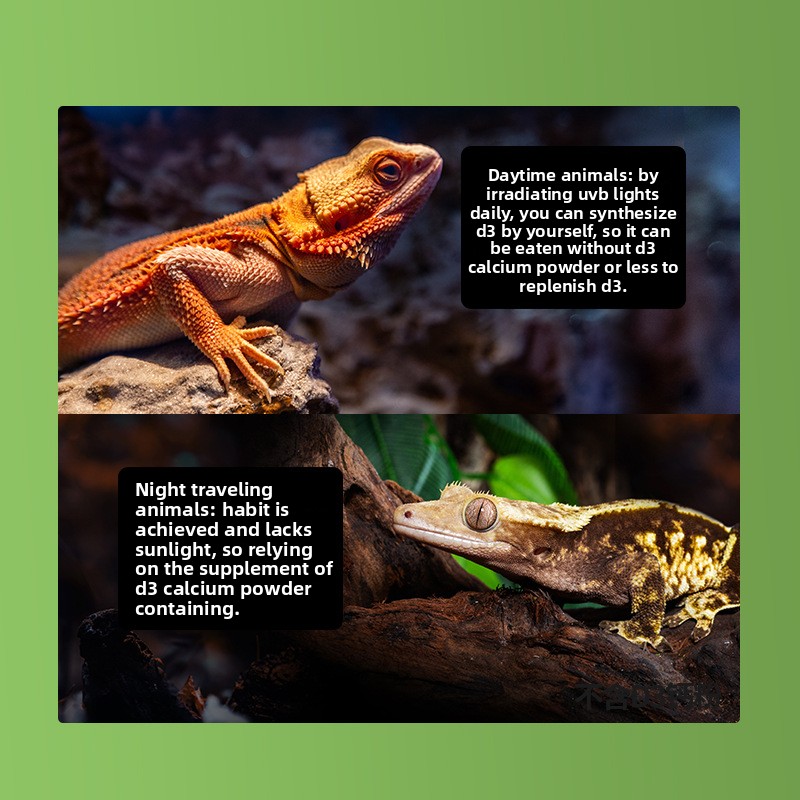 Reptizoo Polvere di calcio per - Vitamin D3 Reptile recensione e prezzo