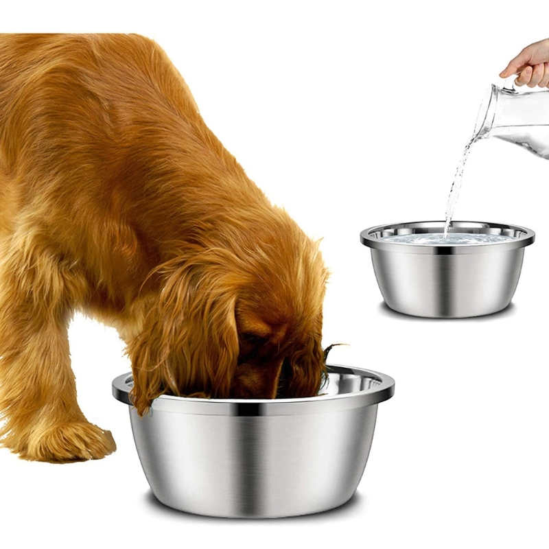 Mangiatoie per cani in acciaio - Royal Canin Food Medium recensione e prezzo