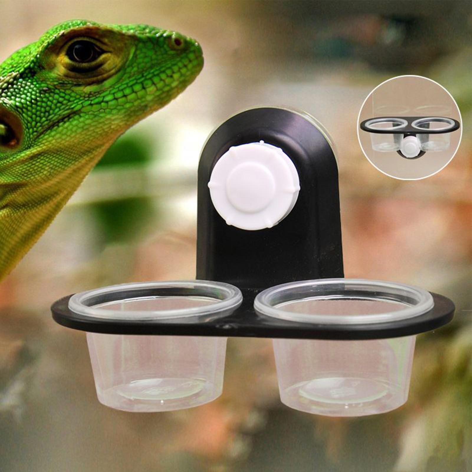 Piattaforma per l'alimentazion - Water Dish Reptile recensione e prezzo
