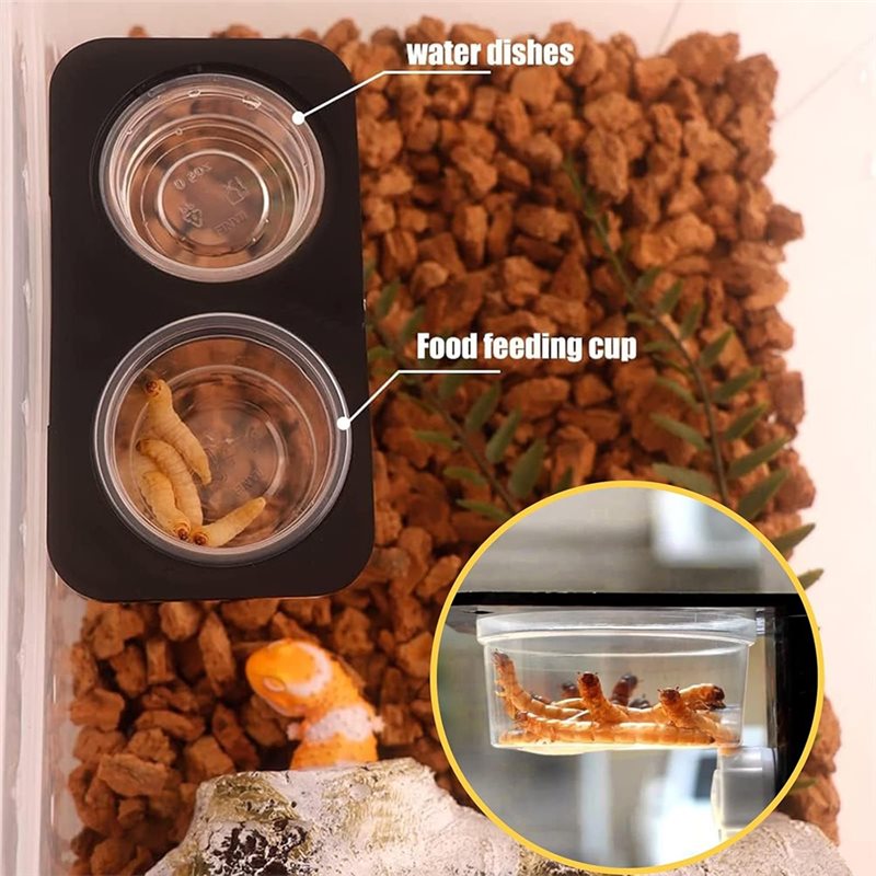 Ciotole per cibo e acqua per g - Water Dish Reptile recensione e prezzo
