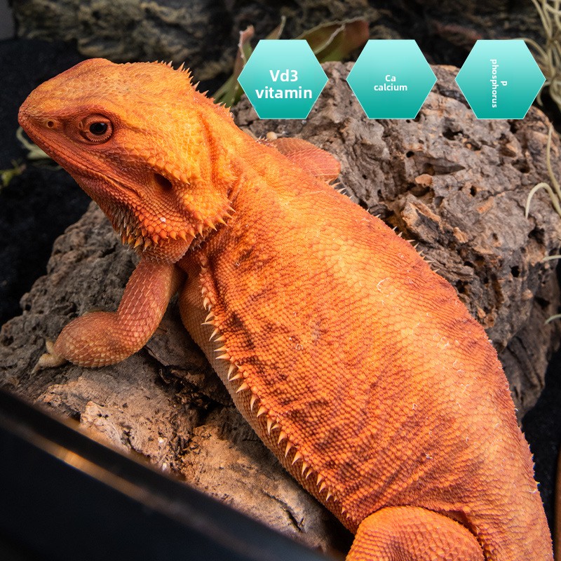 SuperRep Rettile Calcio Pro-Vi - Vitamin D3 Reptile recensione e prezzo