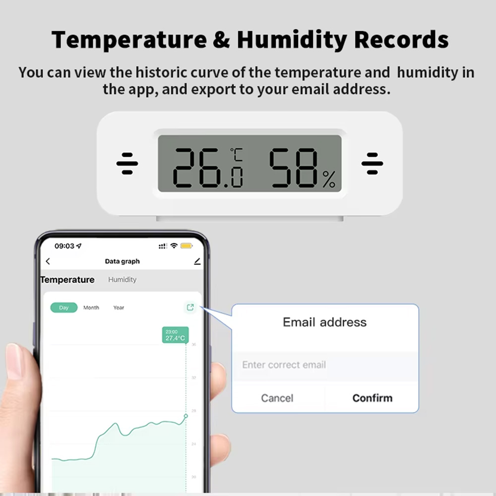 Sensore Mini di Temperatura e  - Digital Hygrometer Probe recensione e prezzo