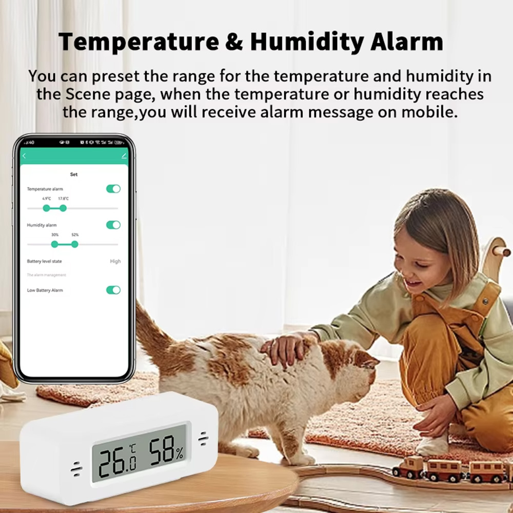 Sensore Mini di Temperatura e  - Digital Hygrometer Probe recensione e prezzo
