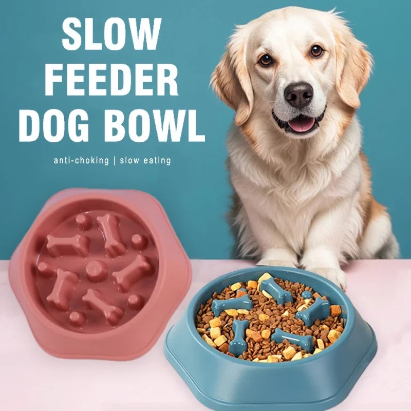 Ciotola per Cani Anti-ingozzam - Royal Canin Food Medium recensione e prezzo